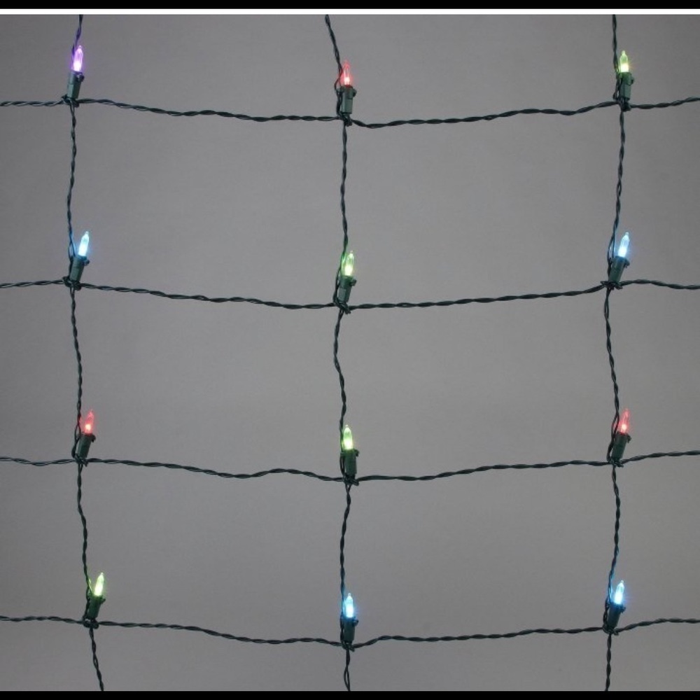 NWT Philips 100ct 4' x 6' LED App-Controlled multiColor Changing Mini Net